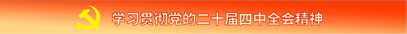 学习贯彻党的二十届四中全会精神